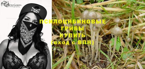 хмурый Алзамай
