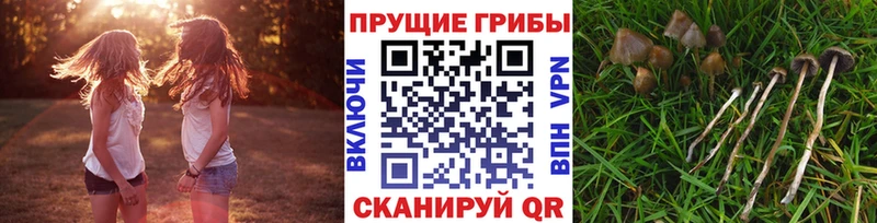 где купить наркоту  Якутск  Псилоцибиновые грибы MAGIC MUSHROOMS 